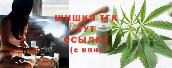 амф Аркадак