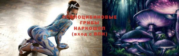 прущая мука Арсеньев
