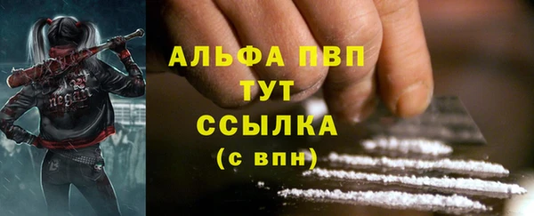 амф Аркадак
