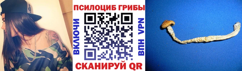 сайты даркнета Telegram  Курган  Псилоцибиновые грибы Magic Shrooms  хочу  