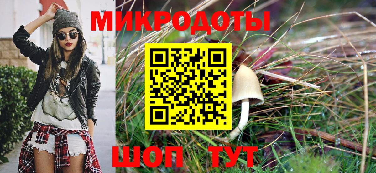 Галлюциногенные грибы Psilocybine cubensis  Вход с VPN  Курган 