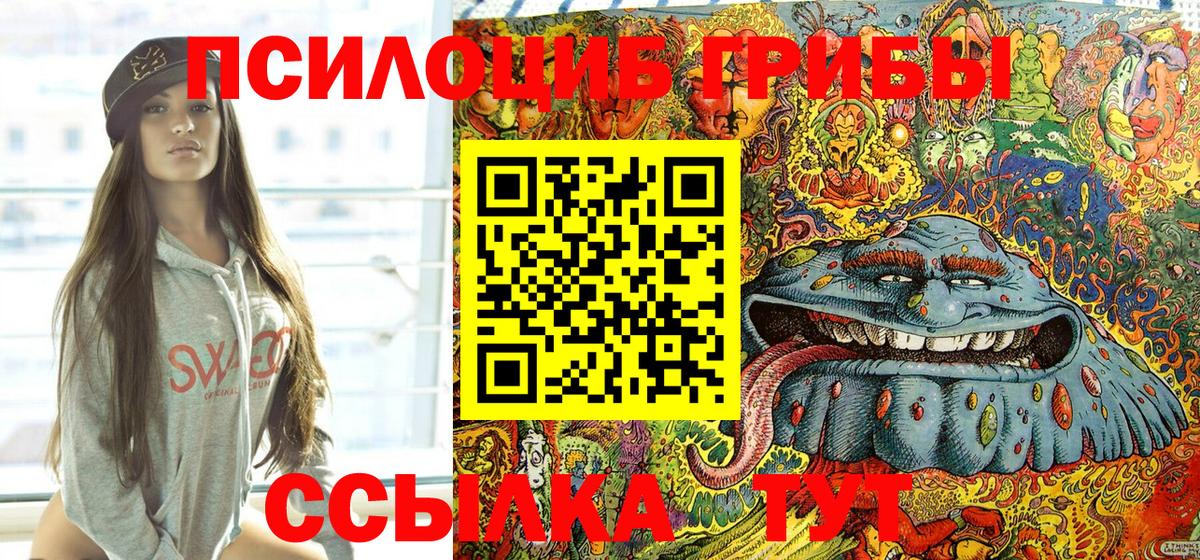 Псилоцибиновые грибы MAGIC MUSHROOMS Курган